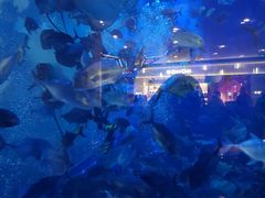 -成都浩海立方海洋公园