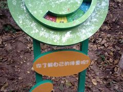 -大岭沟猕猴桃谷风景区