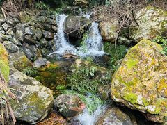 -雁南飞茶田景区