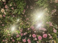 -第101座花园餐厅(湖滨88店)