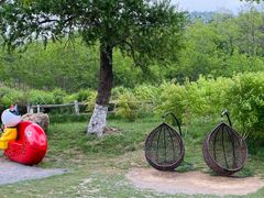 -大连铭湖国际观光牧场