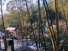 -江南天池高山汤泉城
