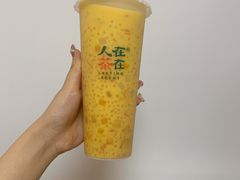 -人在茶在(华南店)