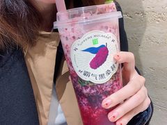 -奈雪的茶(新天地广场PRO店)