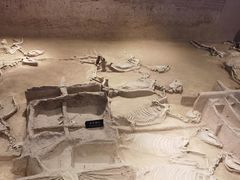 -洛阳周王城天子驾六博物馆