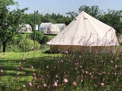 -梁鸿国家湿地公园