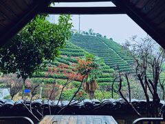 -心无尘茶餐馆(径山村店)