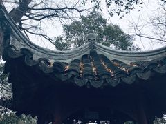 -秋霞圃