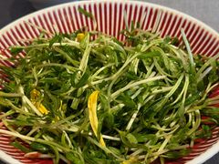 -湯記傳菜