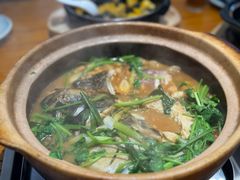 -九道菜有鸡鱼头(石鼓路店)