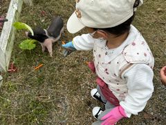 -前小桔亲子创意农场·草莓采摘·露营烧烤