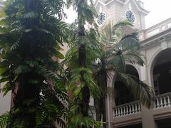 -香港大学