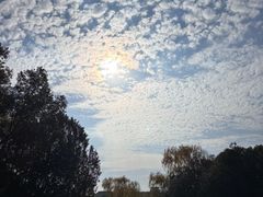 -华东政法大学(松江校区)