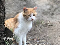 -北京凤凰岭