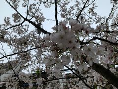 -沙市市中山公园