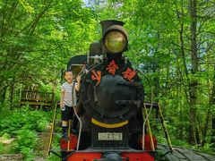 -五营红松林海景区