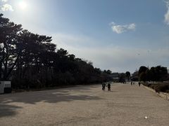 -名古屋城