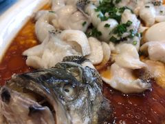 芙蓉鲈鱼-浒顺大酒店(相城店)