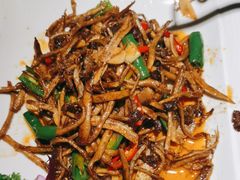 -老雒阳面馆·水席(洛宁高速路口店)