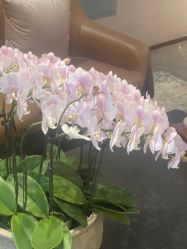 -美健盛世·美容SPA连锁