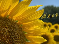 -北京奥林匹克公园
