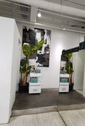 -Hair  Gallery