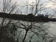 -昆山城市生态森林公园