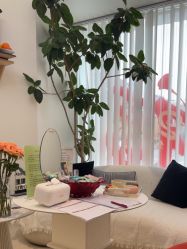 -WENDY·温迪皮肤管理