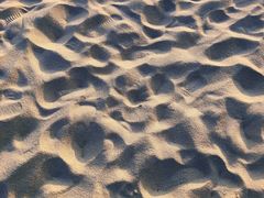 -南宁花花大世界景区