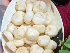 -麻奢鸽农庄·梦里水乡