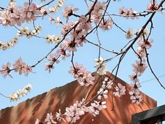 -北京丽景湾国际酒店