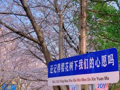 -高东镇樱花园