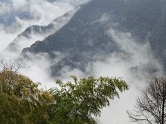 -江南天池