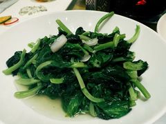 酒香豆苗-老吉士(环贸iapm店)