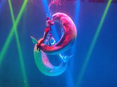 -芜湖新华联大白鲸海洋公园