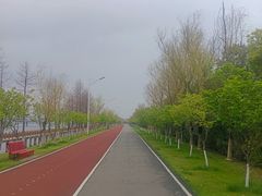 -艾溪湖湿地公园