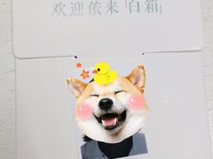 -白箱照相馆·外拍