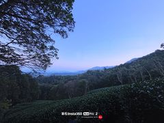 -午潮山国家森林公园