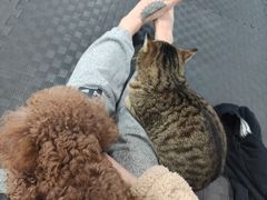 -FIGHTMAN格斗俱乐部(长宁临空店)