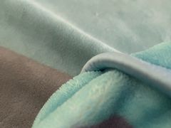 -竹园烧鸡