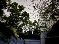 -武汉长江大桥