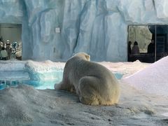 -珠海长隆海洋王国