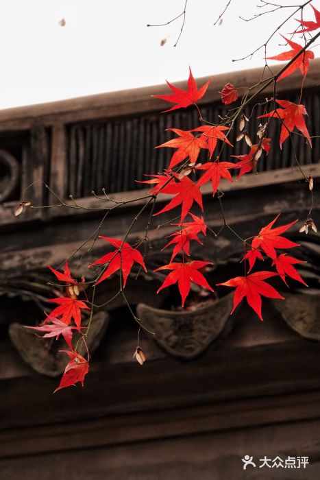 秋霞圃图片