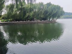 -济南国际园博园