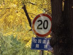 -四川大学(华西校区)