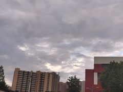 -桂萍特色牛筋牛杂(长堤街总店)