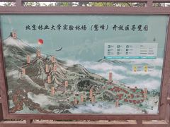 -北京鹫峰国家森林公园
