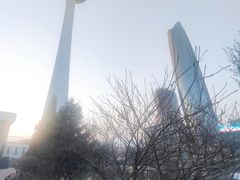 -辽宁电视塔