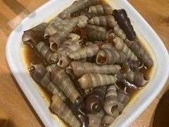 -真定郝家排骨(谈固东街店)