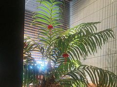 -涟LIAN·泰式按摩·MASSAGE·SPA(华强北店)